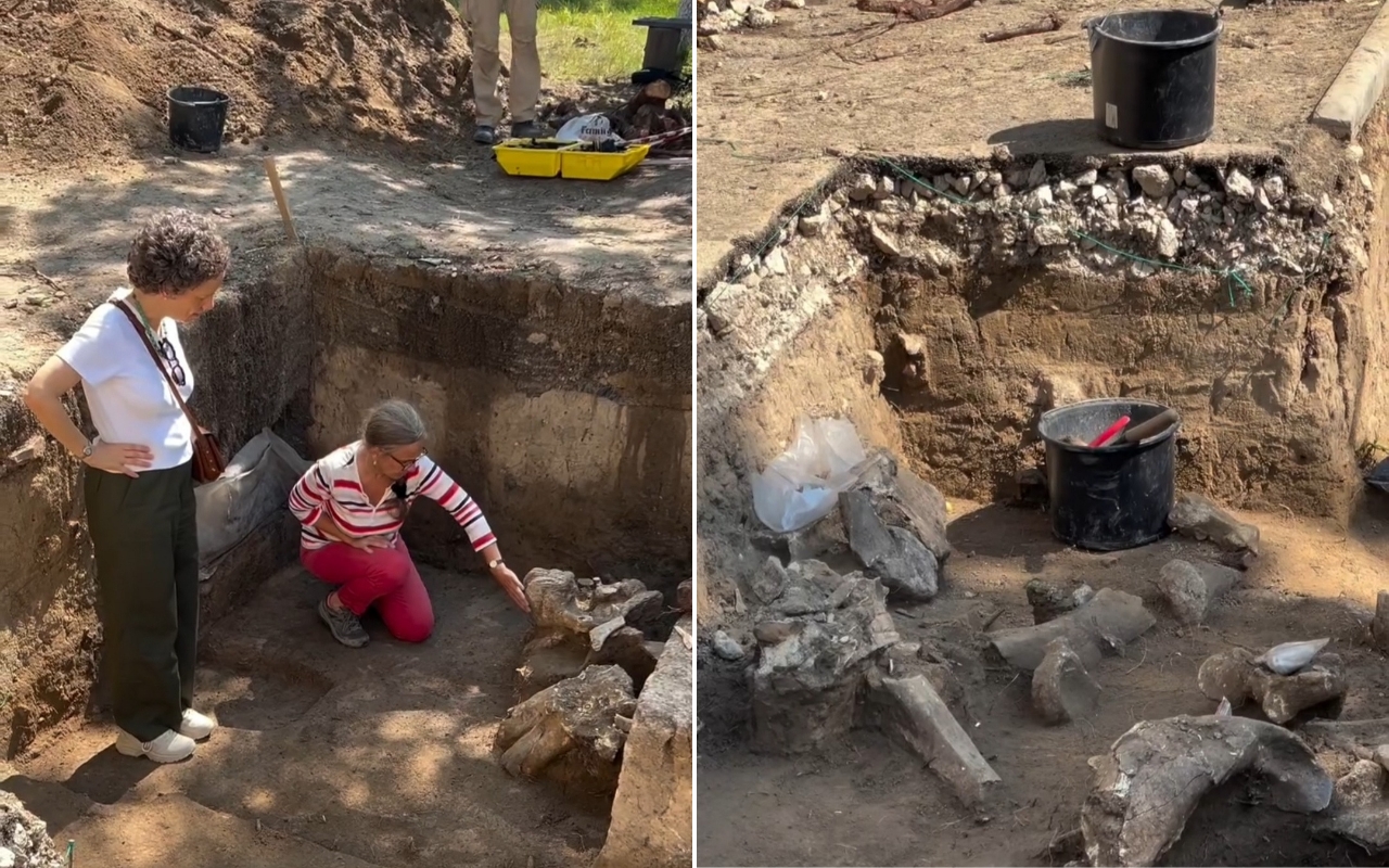 (ВИДЕО) В Шолданештском районе обнаружили древнее жилище, построенное из костей мамонта